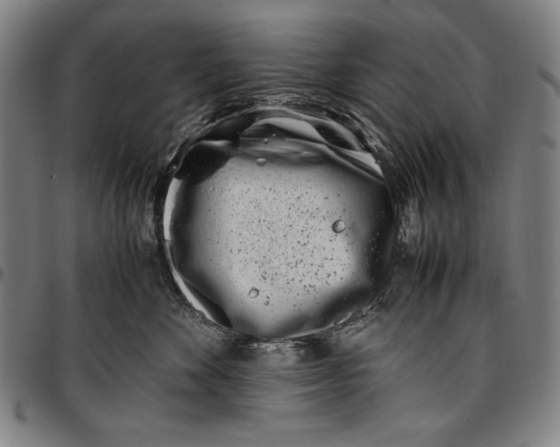 X0000097000524200802291150