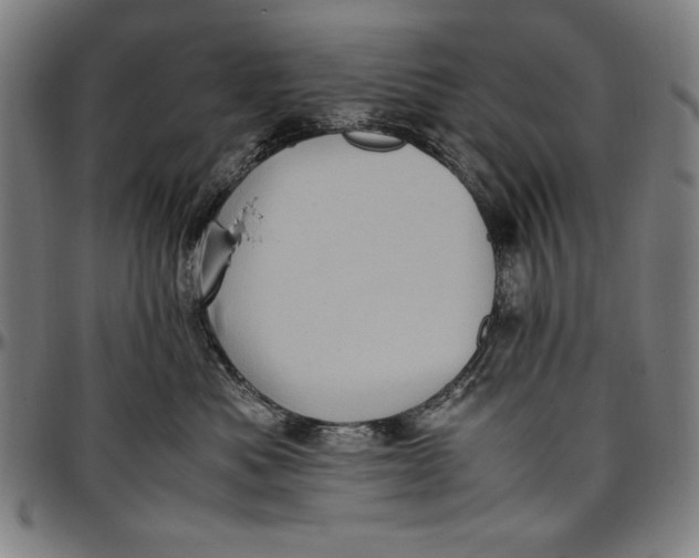 X0000097000525200802291150