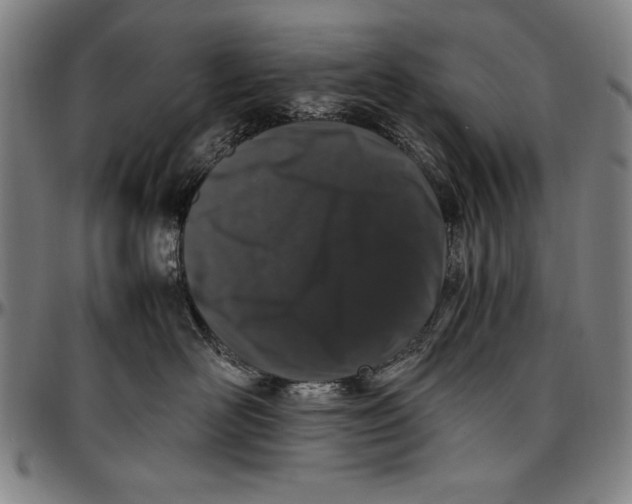 X0000097000526200802291150