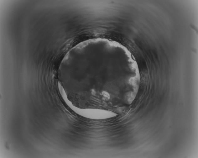 X0000097000527200802291150