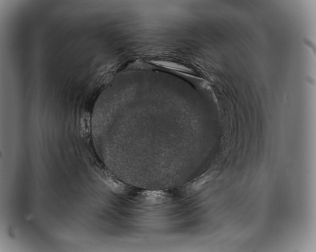 X0000097000528200802291150