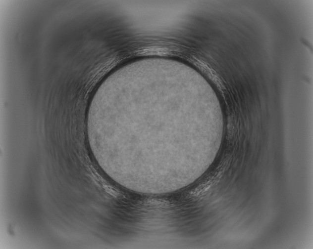 X0000097000529200802291149