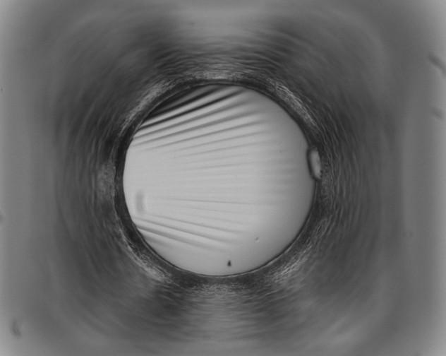 X0000097000530200802291149