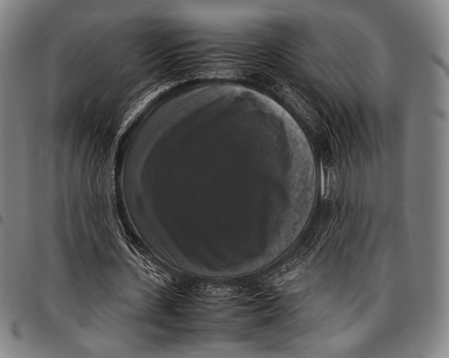 X0000097000531200802291149