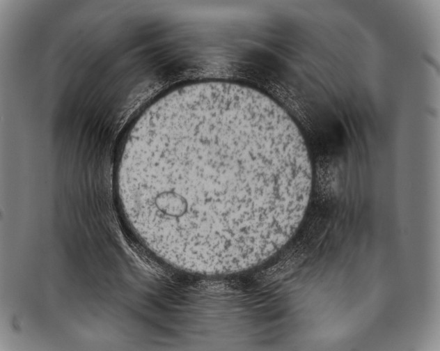 X0000097000534200802291149