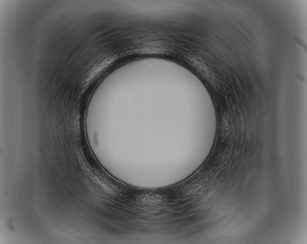 X0000097000535200802291149