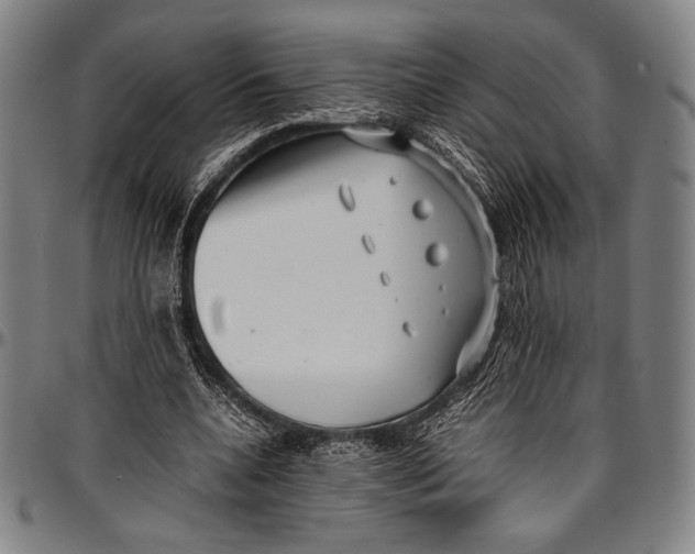 X0000097000536200802291149