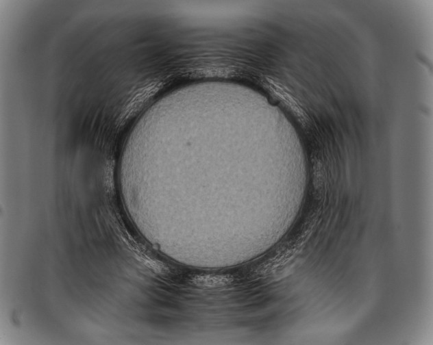 X0000097000537200802291149