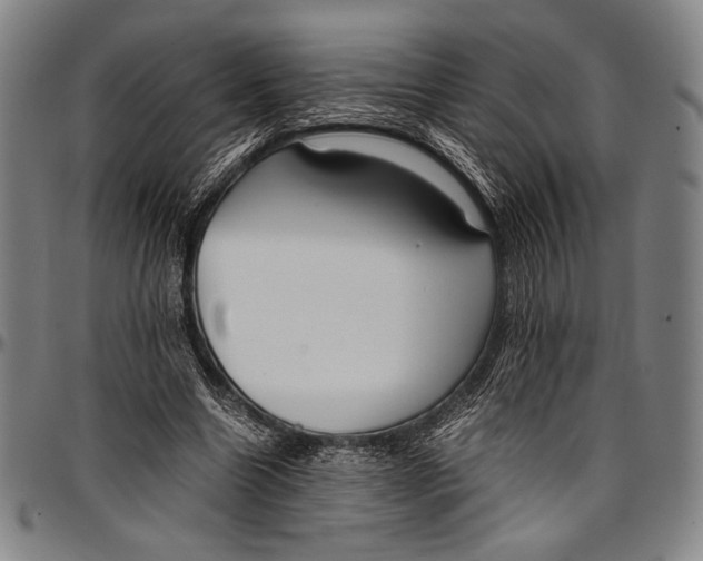 X0000097000538200802291149