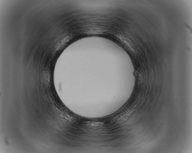 X0000097000539200802291149