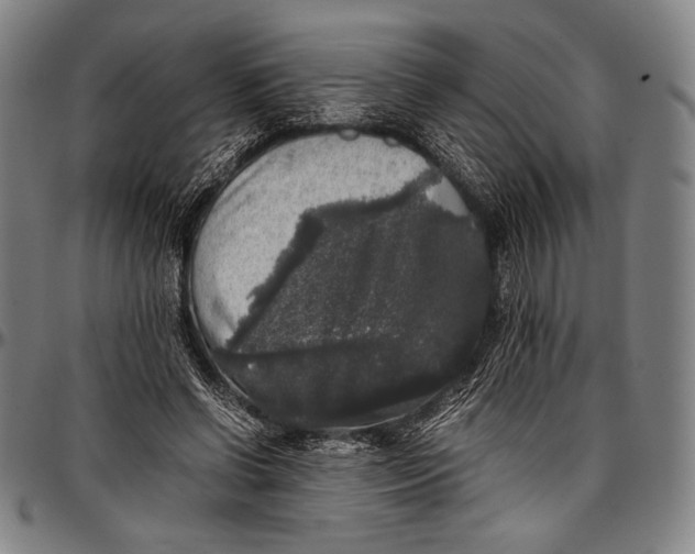 X0000097000542200802291149