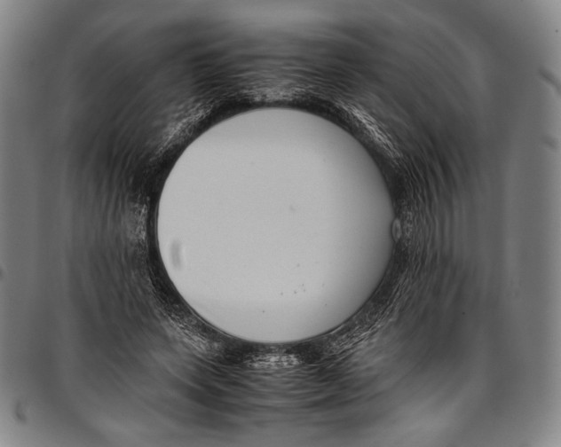 X0000097000543200802291149