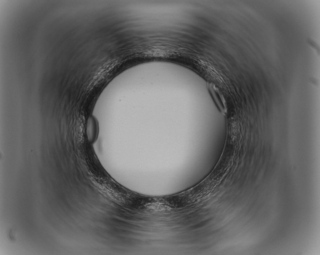 X0000097000544200802291149