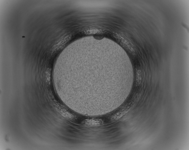 X0000097000545200802291149