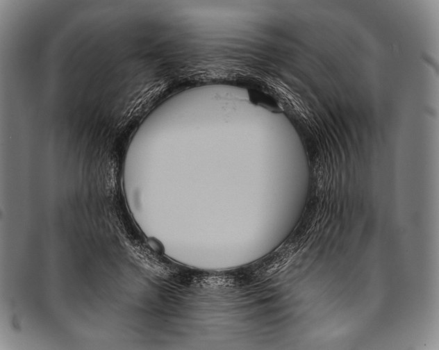 X0000097000546200802291149