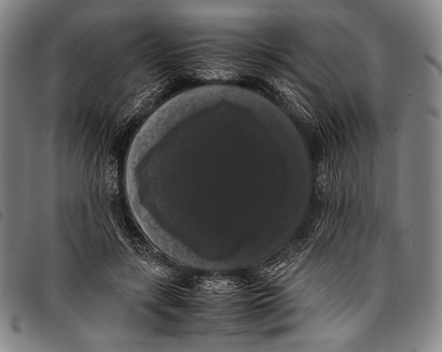 X0000097000547200802291149