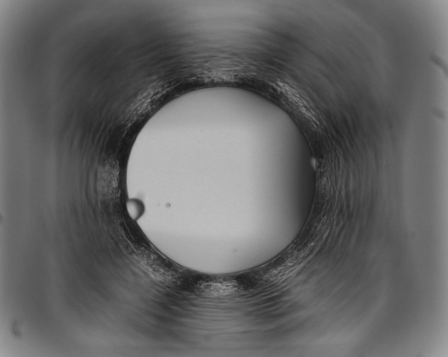 X0000097000548200802291149