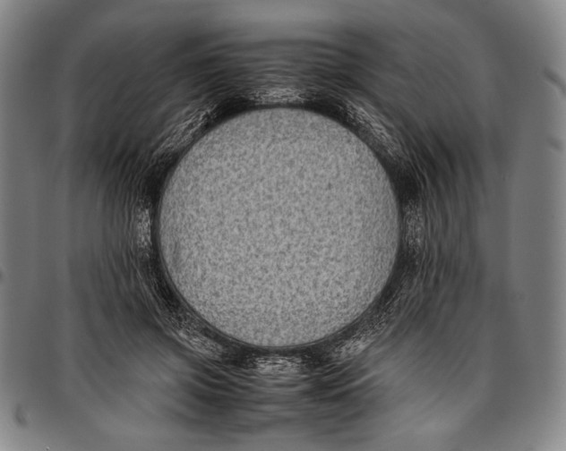 X0000097000549200802291149