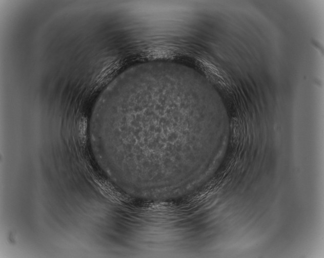 X0000097000550200802291149