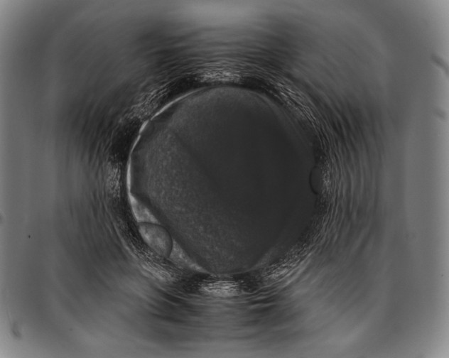 X0000097000551200802291149