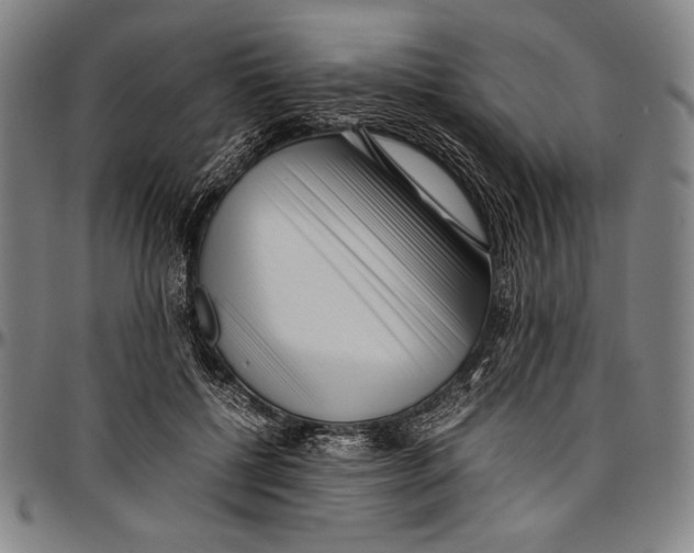 X0000097000552200802291149