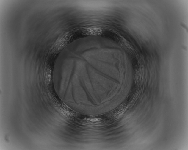 X0000097000553200802291149