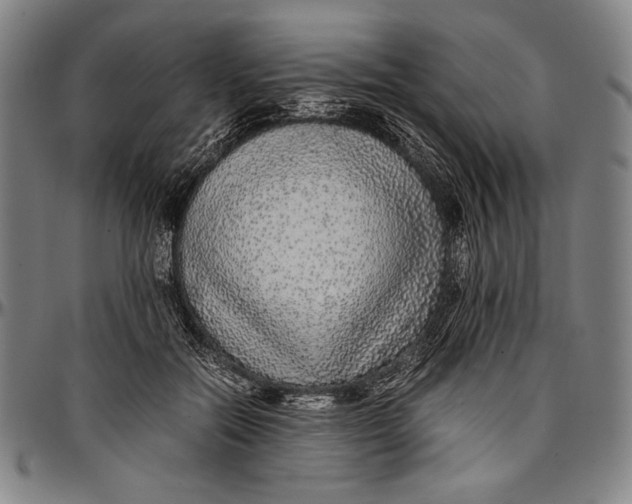 X0000097000554200802291149