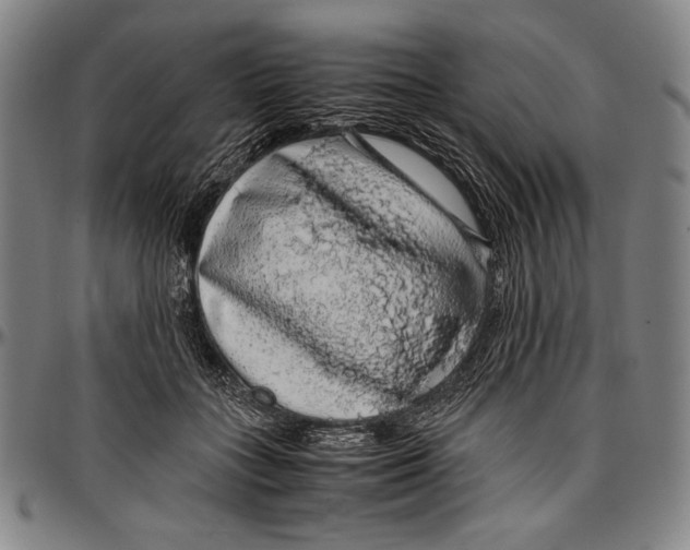 X0000097000555200802291150