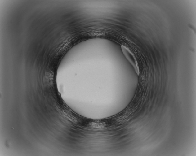 X0000097000556200802291150