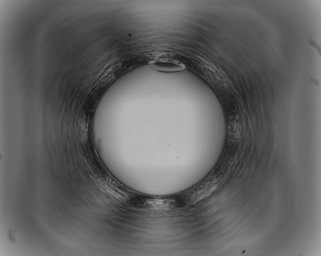 X0000097000558200802291150