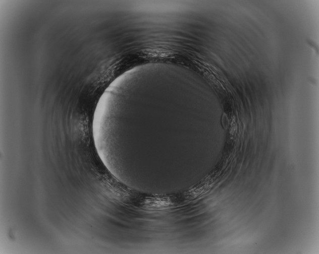 X0000097000559200802291150