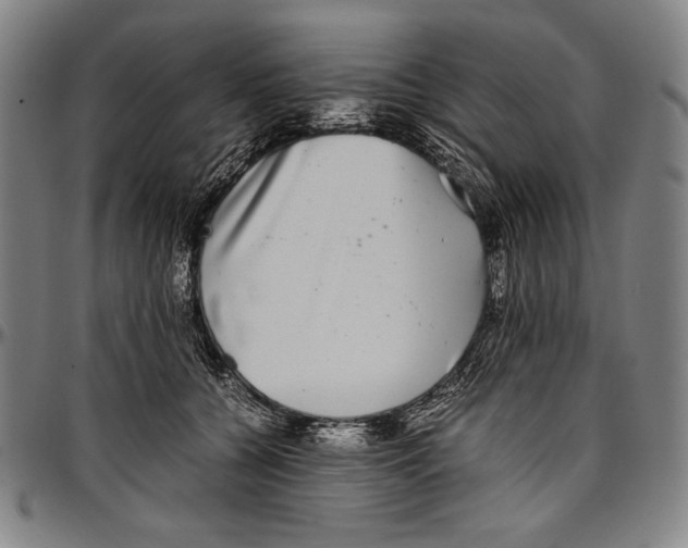 X0000097000560200802291150