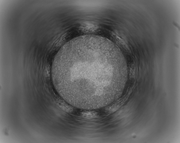 X0000097000561200802291150