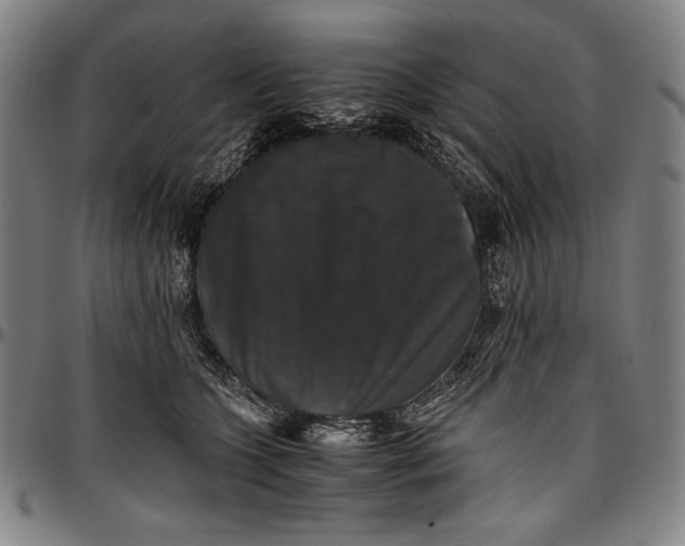 X0000097000563200802291150