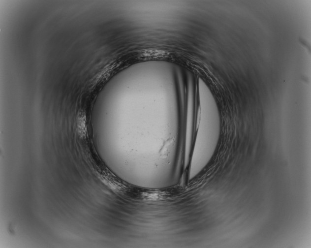 X0000097000564200802291150