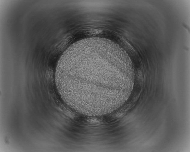 X0000097000565200802291150