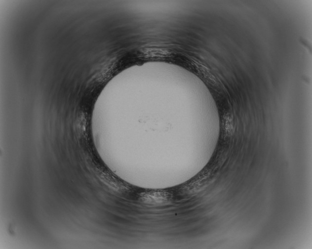 X0000097000567200802291150