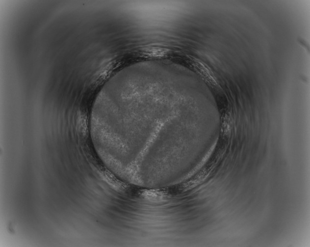 X0000097000568200802291150