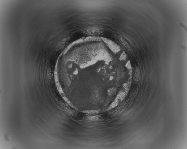 X0000097000569200802291150