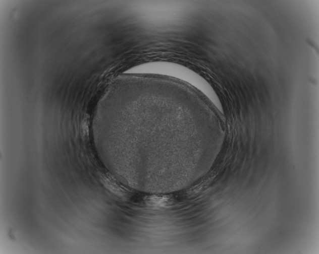 X0000097000570200802291150