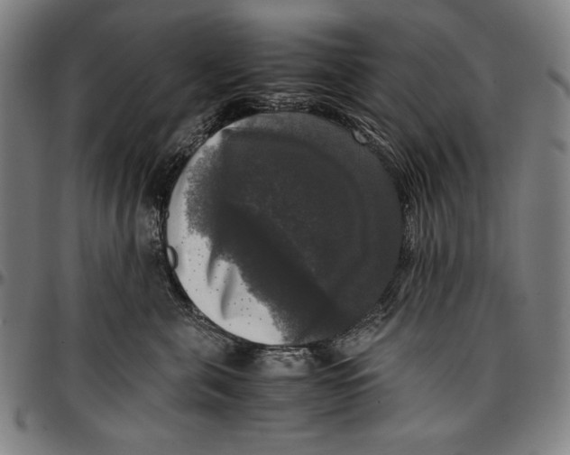 X0000097000571200802291150