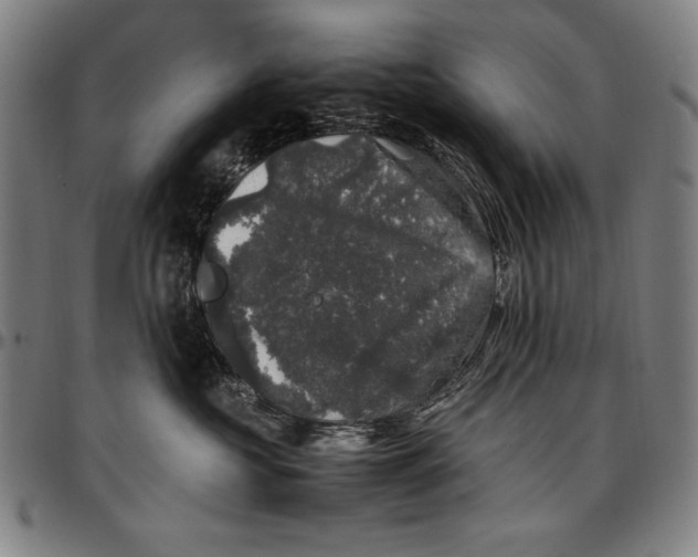 X0000097000573200802291150