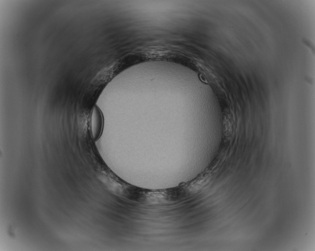 X0000097000574200802291150