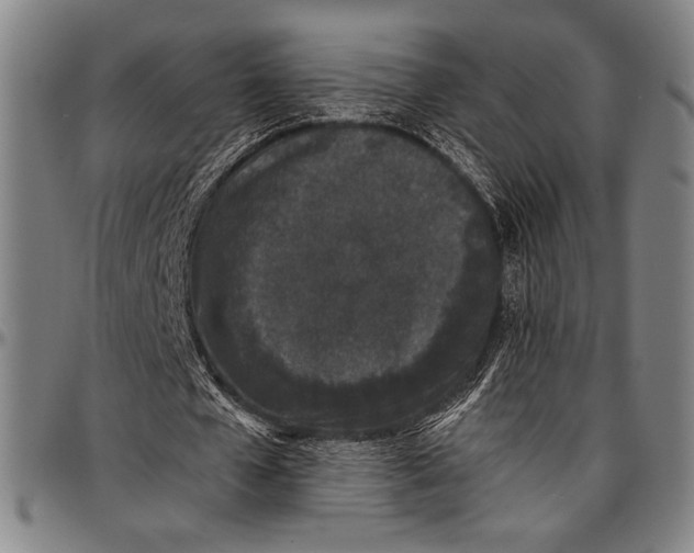 X0000097000577200802291149