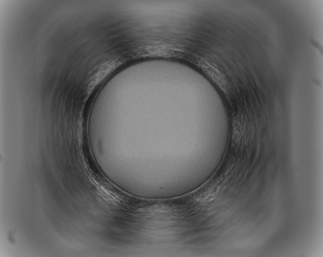 X0000097000578200802291149