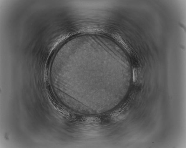 X0000097000579200802291149