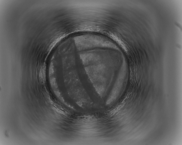 X0000097000580200802291149