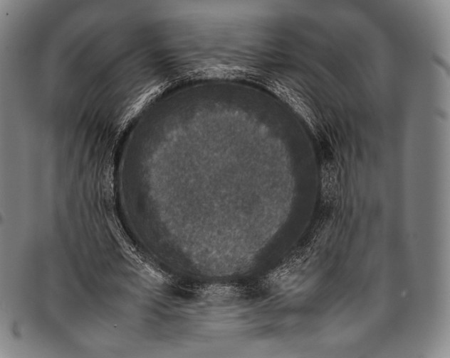 X0000097000581200802291149