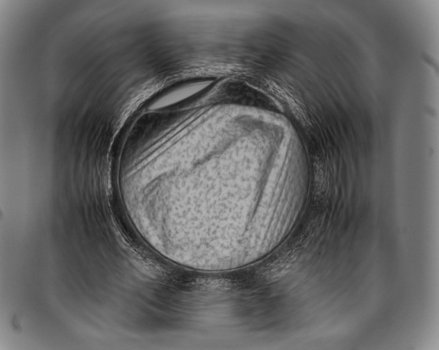 X0000097000582200802291149