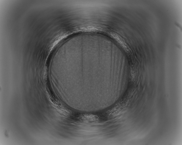 X0000097000583200802291149